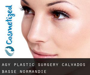Agy plastic surgery (Calvados, Basse-Normandie)