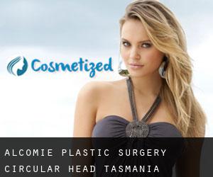 Alcomie plastic surgery (Circular Head, Tasmania)