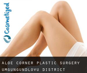 Aloe Corner plastic surgery (uMgungundlovu District Municipality, KwaZulu-Natal)
