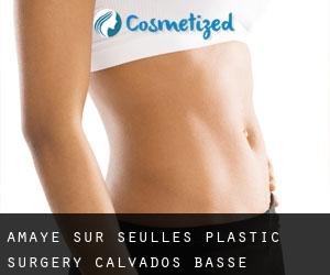 Amayé-sur-Seulles plastic surgery (Calvados, Basse-Normandie)