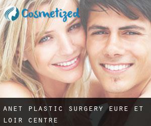 Anet plastic surgery (Eure-et-Loir, Centre)