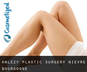 Anlezy plastic surgery (Nièvre, Bourgogne)