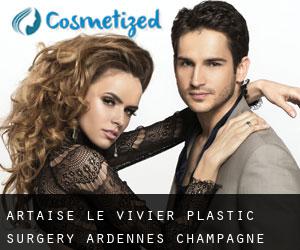 Artaise-le-Vivier plastic surgery (Ardennes, Champagne-Ardenne)