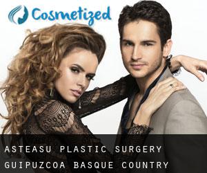 Asteasu plastic surgery (Guipuzcoa, Basque Country)