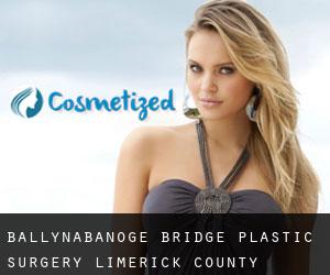 Ballynabanoge Bridge plastic surgery (Limerick County, Munster)