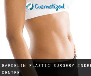 Bardelin plastic surgery (Indre, Centre)