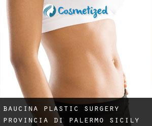 Baucina plastic surgery (Provincia di Palermo, Sicily)