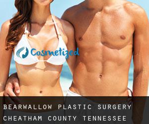 Bearwallow plastic surgery (Cheatham County, Tennessee)