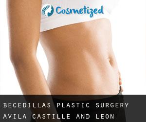 Becedillas plastic surgery (Avila, Castille and León)