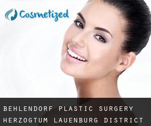 Behlendorf plastic surgery (Herzogtum Lauenburg District, Schleswig-Holstein)
