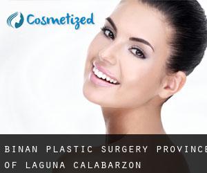 Biñan plastic surgery (Province of Laguna, Calabarzon)