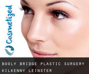 Booly Bridge plastic surgery (Kilkenny, Leinster)