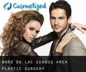 Bord-du-Lac (census area) plastic surgery