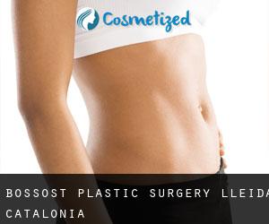 Bossòst plastic surgery (Lleida, Catalonia)