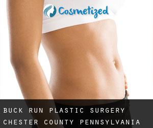 Buck Run plastic surgery (Chester County, Pennsylvania)