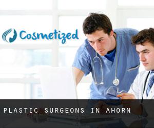 Plastic Surgeons in Ahorn