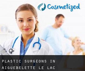 Plastic Surgeons in Aiguebelette-le-Lac