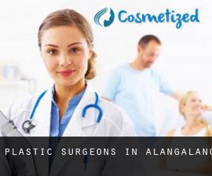 Plastic Surgeons in Alangalang