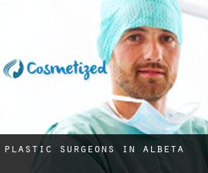 Plastic Surgeons in Albeta