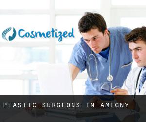 Plastic Surgeons in Amigny