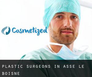Plastic Surgeons in Assé-le-Boisne
