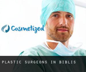 Plastic Surgeons in Biblis