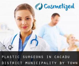 Plastic Surgeons in Cacadu District Municipality by town - page 1