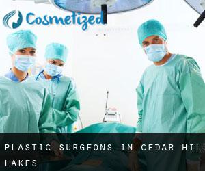 Plastic Surgeons in Cedar Hill Lakes