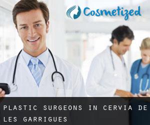 Plastic Surgeons in Cervià de les Garrigues