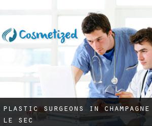 Plastic Surgeons in Champagné-le-Sec