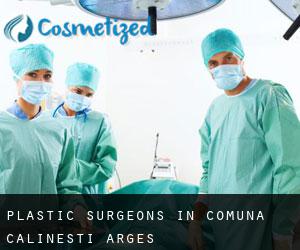 Plastic Surgeons in Comuna Călineşti (Argeş)