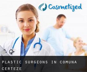 Plastic Surgeons in Comuna Certeze