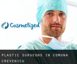 Plastic Surgeons in Comuna Crevenicu