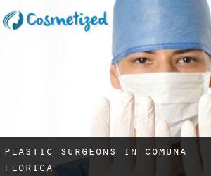 Plastic Surgeons in Comuna Florica
