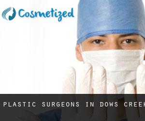 Plastic Surgeons in Dows Creek