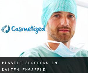 Plastic Surgeons in Kaltenlengsfeld