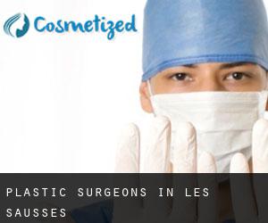 Plastic Surgeons in Les Sausses