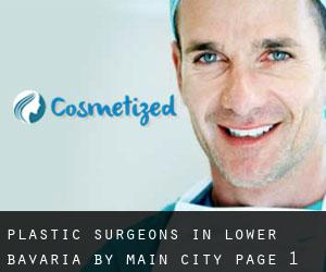 Plastic Surgeons in Lower Bavaria by main city - page 1