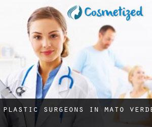 Plastic Surgeons in Mato Verde