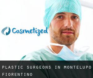 Plastic Surgeons in Montelupo Fiorentino