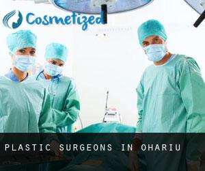 Plastic Surgeons in Ohariu
