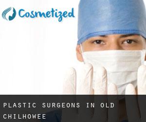 Plastic Surgeons in Old Chilhowee