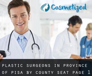Plastic Surgeons in Province of Pisa by county seat - page 1