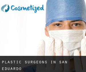 Plastic Surgeons in San Eduardo