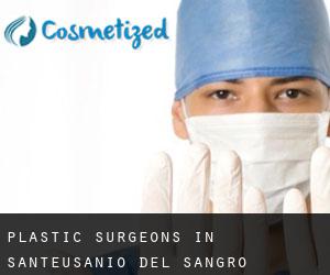 Plastic Surgeons in Sant'Eusanio del Sangro