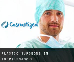 Plastic Surgeons in Toortisnamore