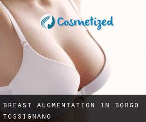Breast Augmentation in Borgo Tossignano