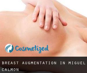 Breast Augmentation in Miguel Calmon