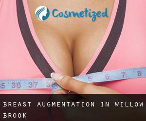 Breast Augmentation in Willow Brook