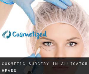 Cosmetic Surgery in Alligator Heads